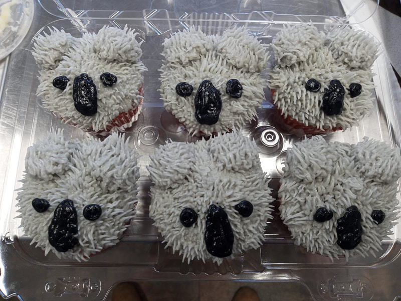Koala cupcakes
